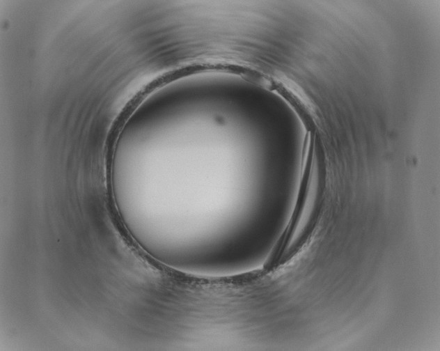 X0000089880934200706281346