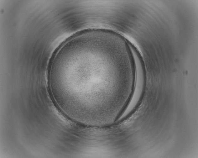 X0000089880935200706281346