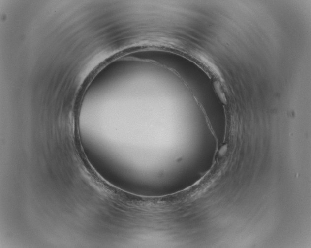 X0000089880936200706281346