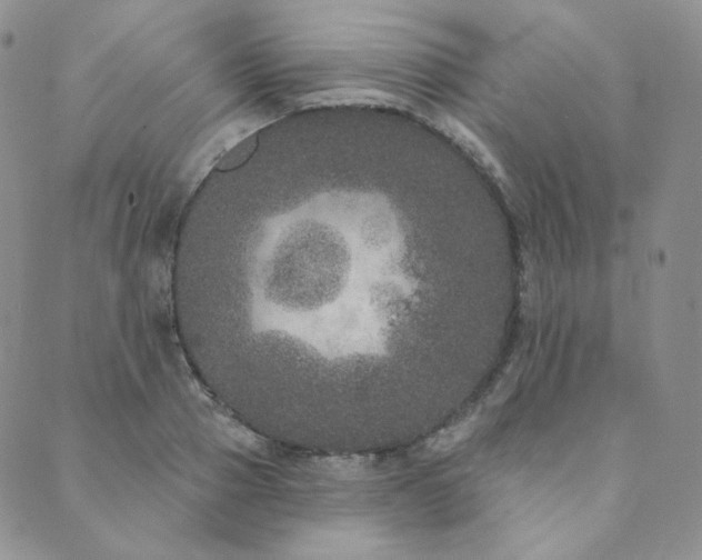 X0000089880937200706281346