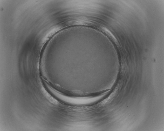 X0000089880938200706281346