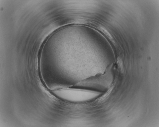 X0000089880939200706281346