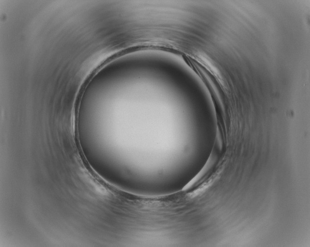 X0000089880940200706281346