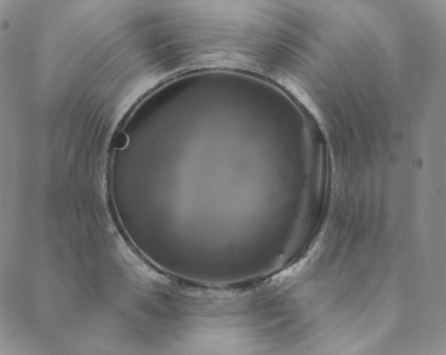 X0000089880941200706281346