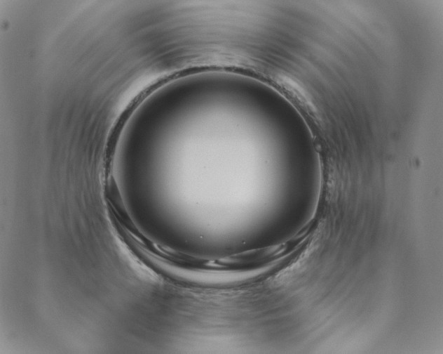 X0000089880942200706281346