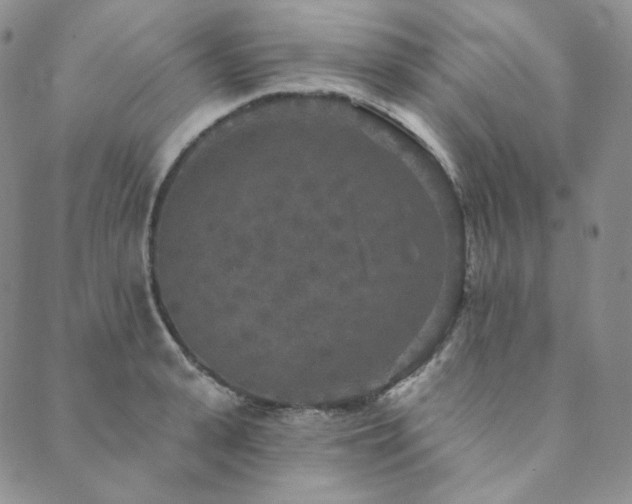 X0000089880943200706281346