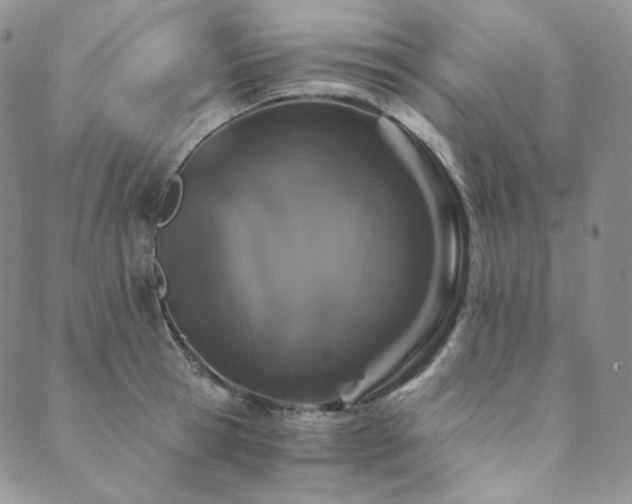 X0000089880945200706281346