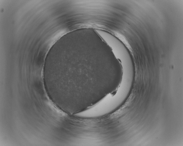 X0000089880946200706281346