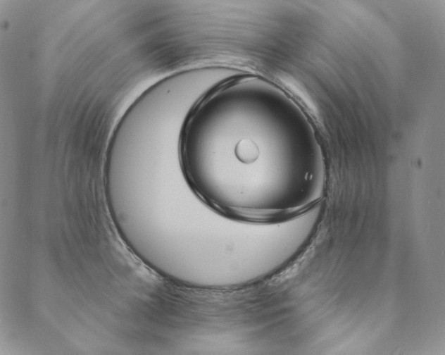 X0000089880948200706281346