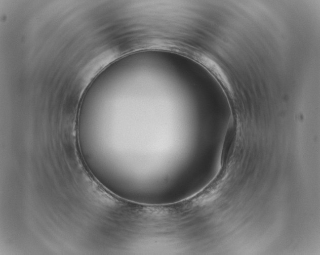 X0000089880954200706281346