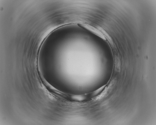 X0000089880956200706281346