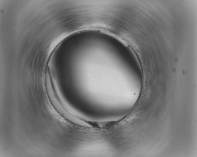 X0000089880960200706281346