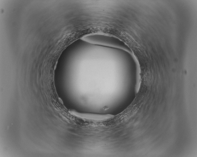 X0000089880961200706281346