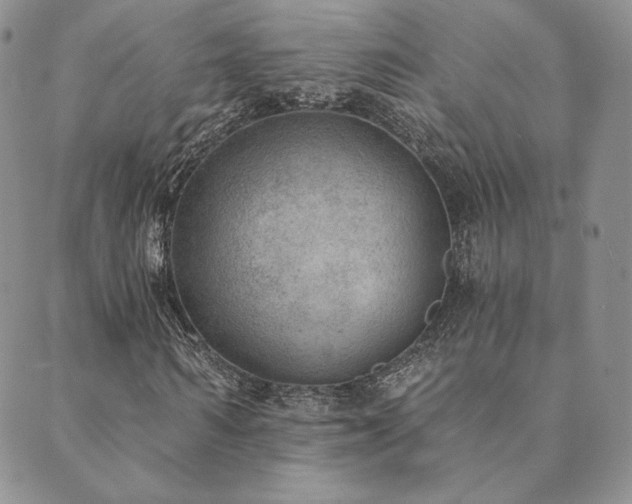 X0000089880962200706281346