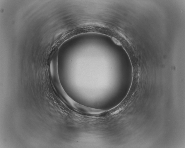 X0000089880965200706281346