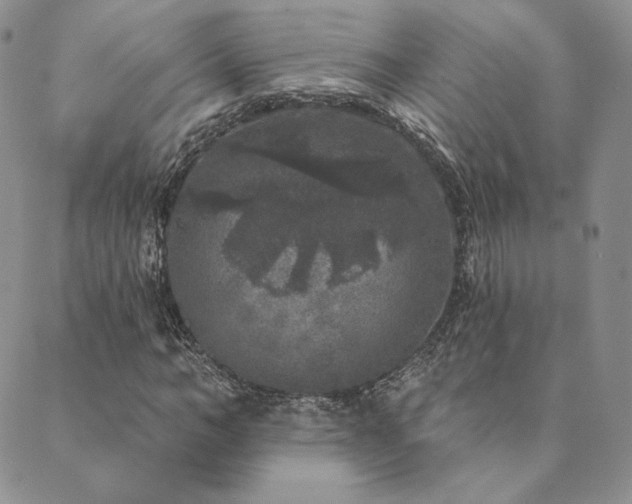 X0000089880966200706281345