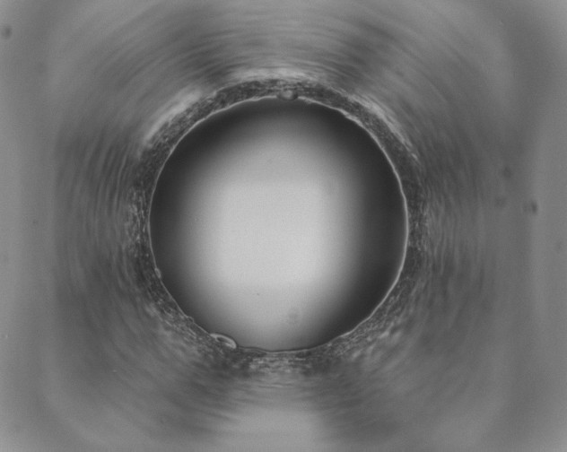 X0000089880967200706281345