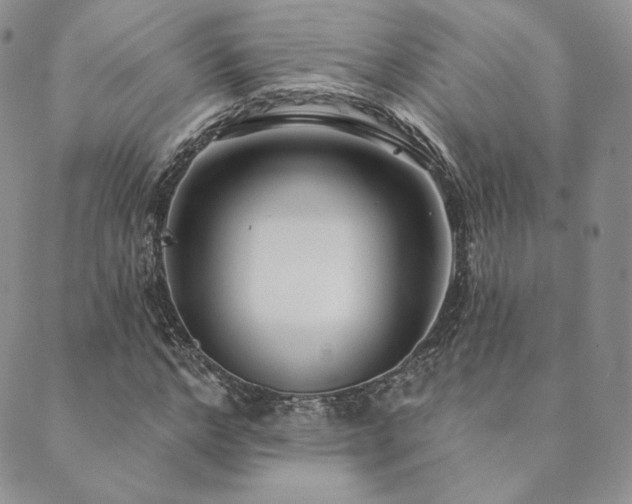 X0000089880968200706281345