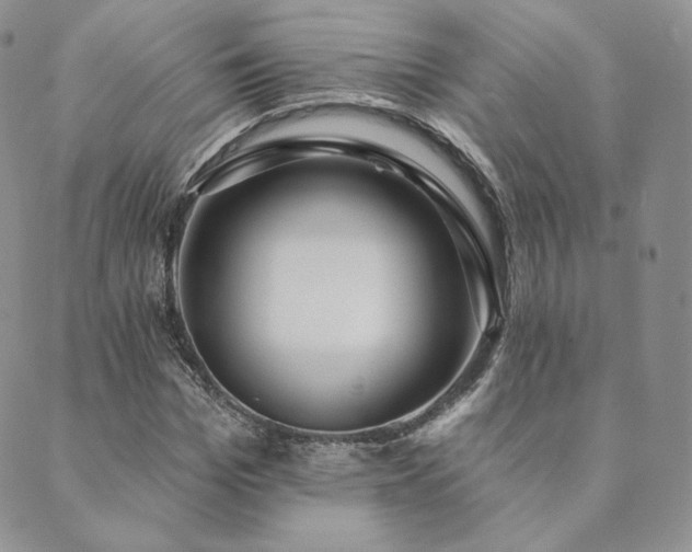 X0000089880969200706281345