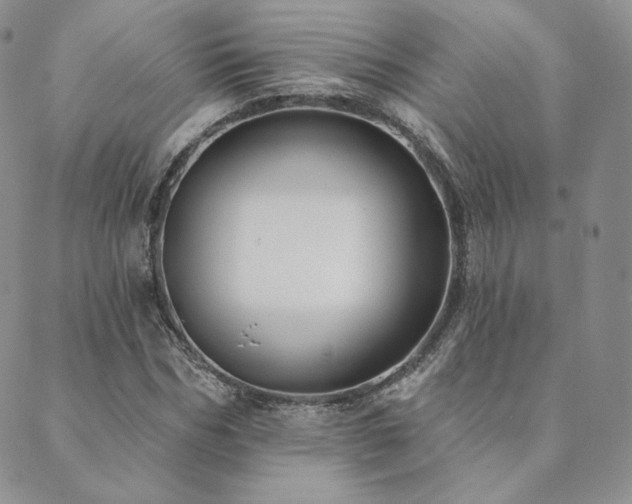 X0000089880970200706281345