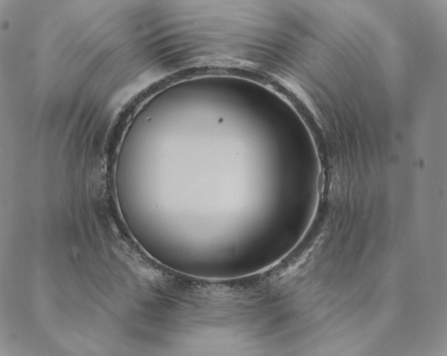 X0000089880971200706281345