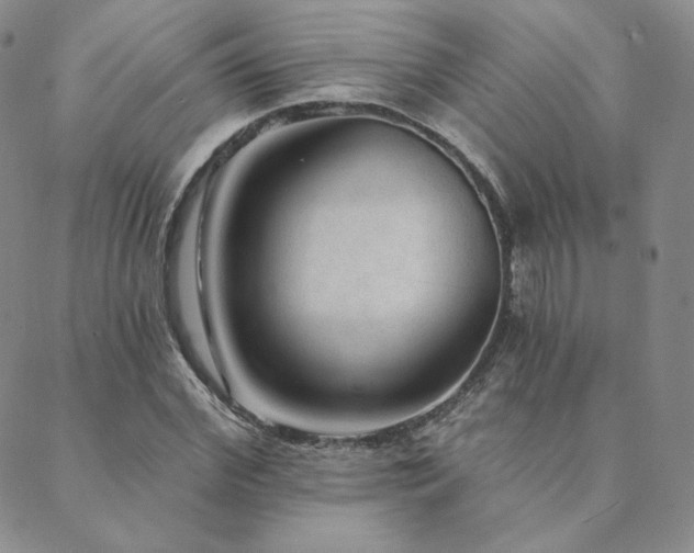 X0000089880972200706281345