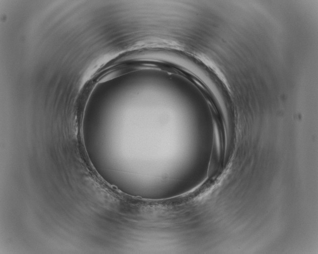 X0000089880973200706281345