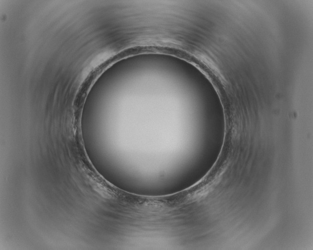 X0000089880974200706281345