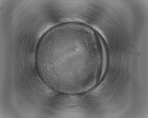 X0000089880975200706281345