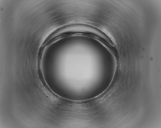 X0000089880976200706281345