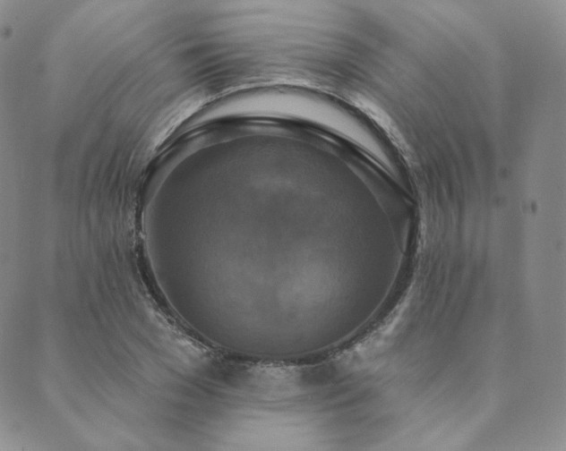 X0000089880977200706281345