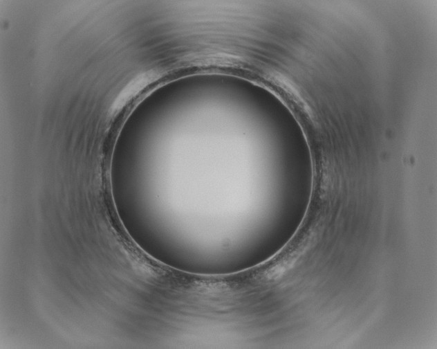 X0000089880978200706281345