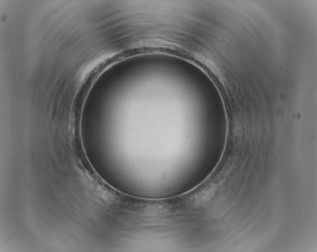 X0000089880979200706281345