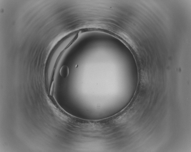 X0000089880980200706281345