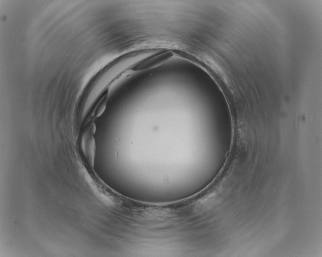 X0000089880981200706281345