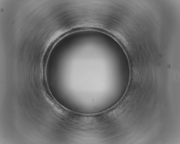 X0000089880982200706281345