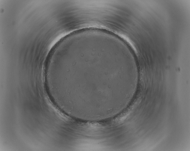 X0000089880983200706281345