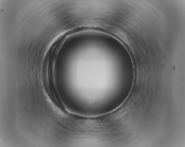 X0000089880984200706281345