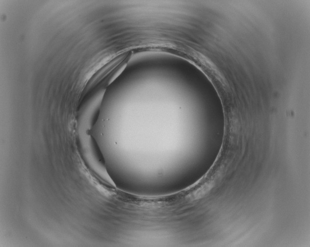 X0000089880985200706281345