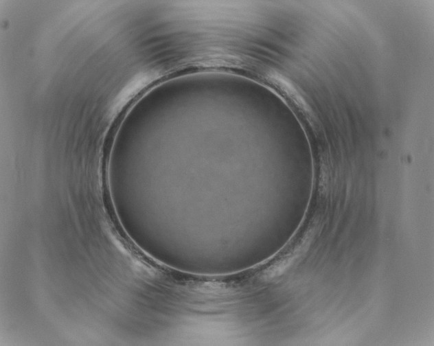 X0000089880986200706281345