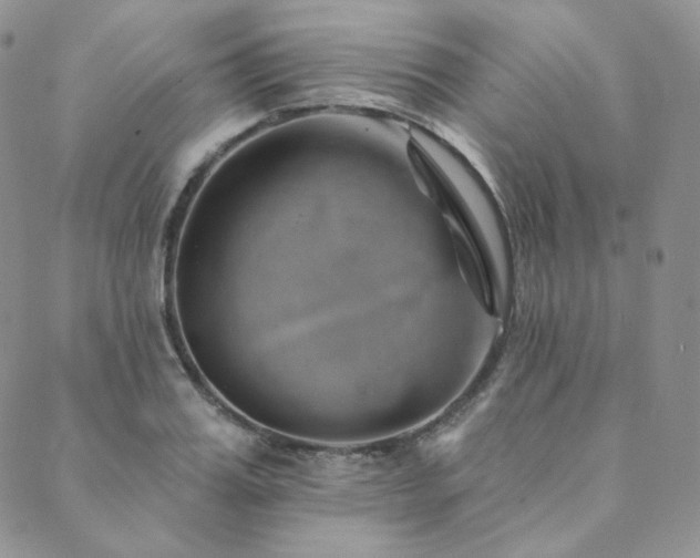 X0000089880987200706281345