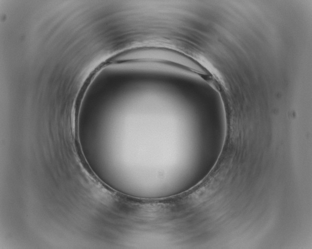 X0000089880988200706281345