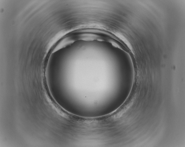 X0000089880989200706281345