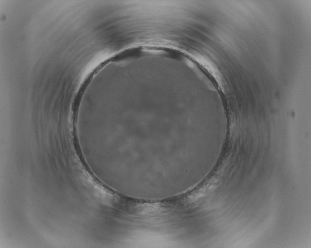 X0000089880990200706281345