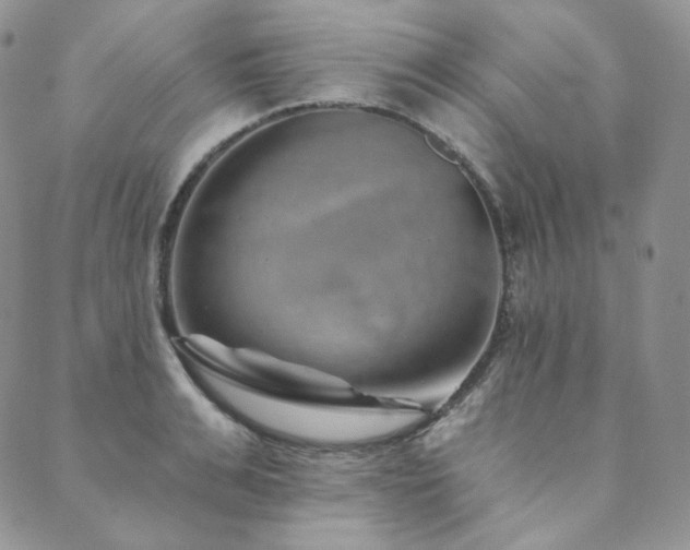 X0000089880991200706281345