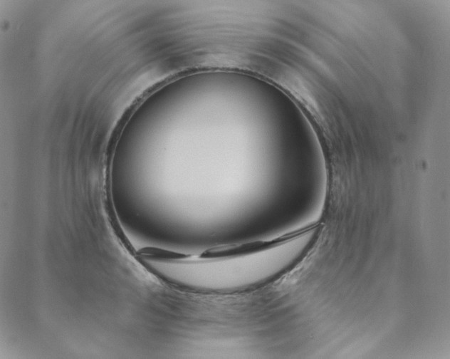 X0000089880992200706281345