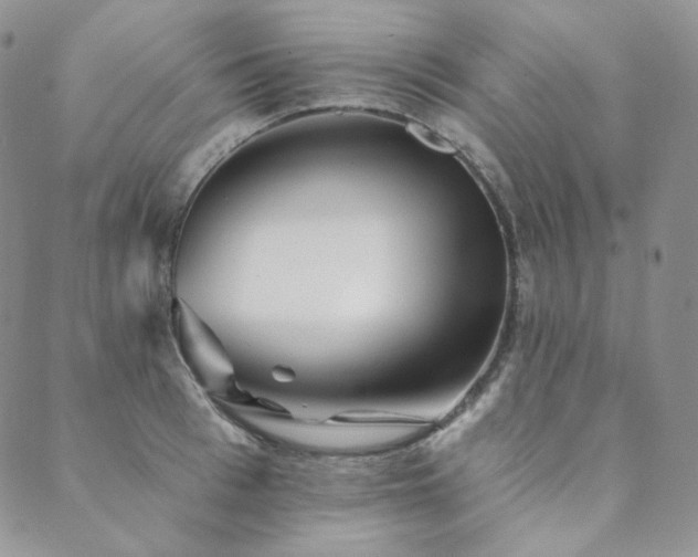 X0000089880993200706281345