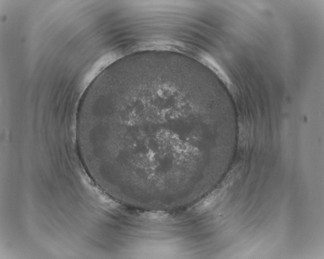 X0000089880994200706281345