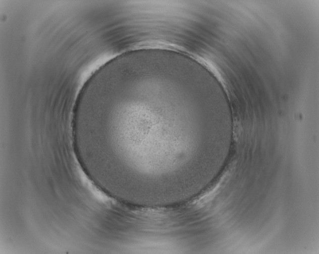 X0000089880995200706281345