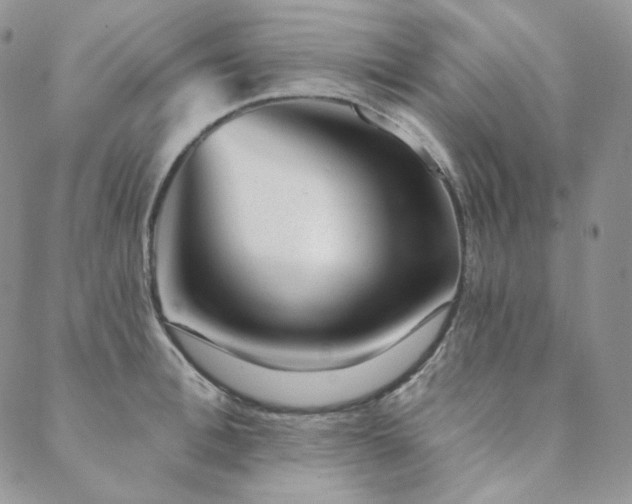 X0000089880996200706281345